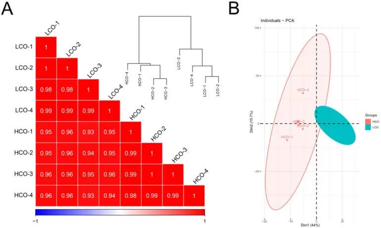 Sample Reproducibility Correlation Assessment (Left) and PCA Principal Component Analysis (Right)